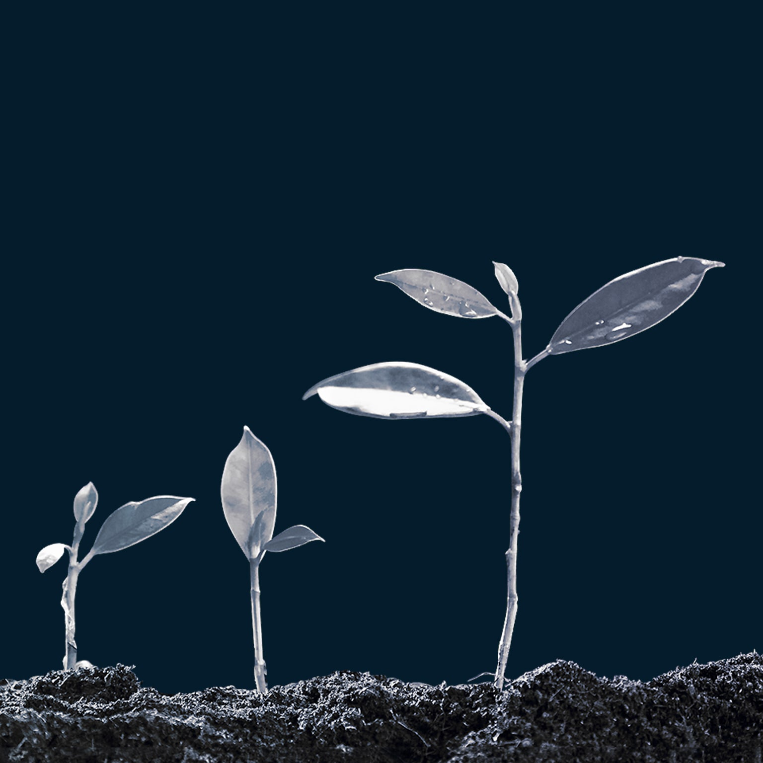 ACRE Agriculture McKinsey & Company